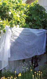 Better Bird Netting Image